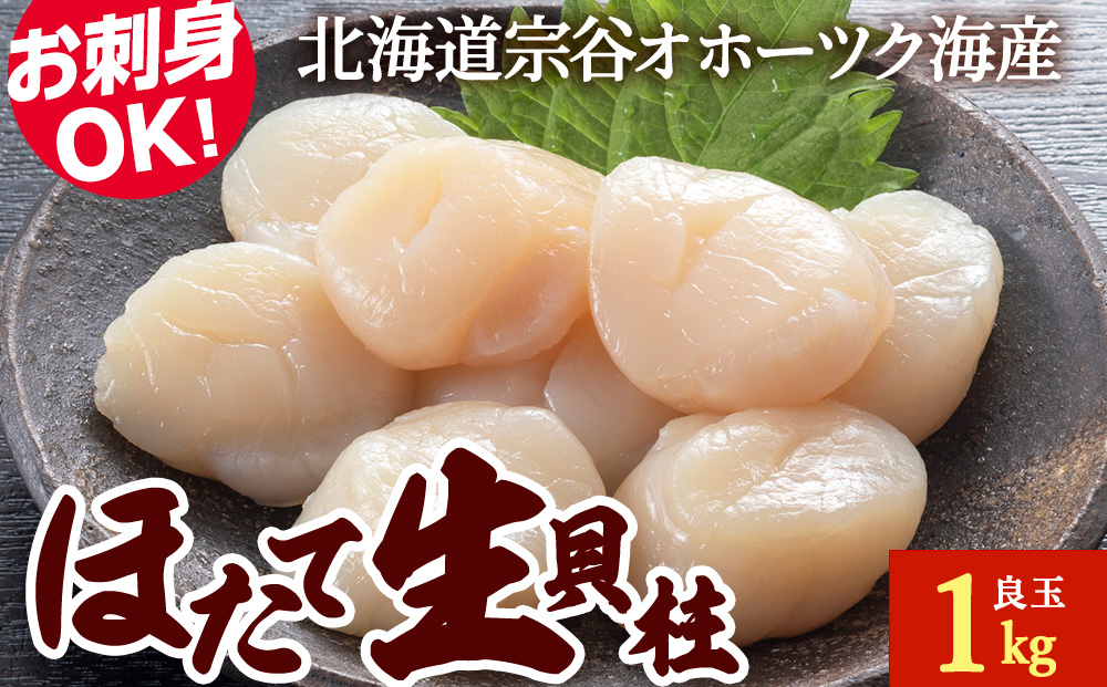 帆立 生 貝柱 1kg 良玉