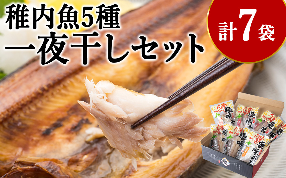 稚内5魚種一夜干セット（極味干し）