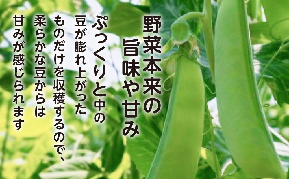 【先行予約】【バランス農法】農薬や肥料を使わずに育てた肉厚ジューシーなスナップエンドウ豊姫　1kg（2024年6月中旬より発送予定）