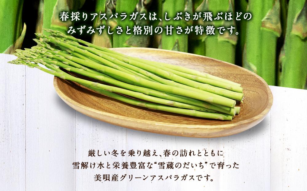 【春アスパラ】美唄産グリーンアスパラガス雪蔵美人 Lサイズ 1kg （2025年4月中旬より順次発送予定）