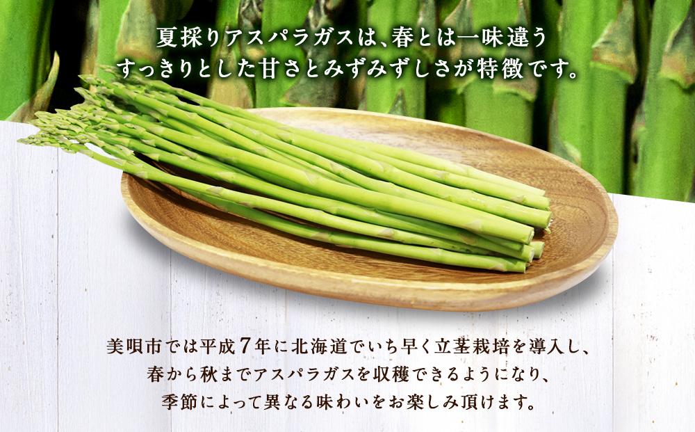 【夏アスパラ】美唄産グリーンアスパラガス雪蔵美人 Lサイズ 1kg （2025年7月中旬より順次発送予定）