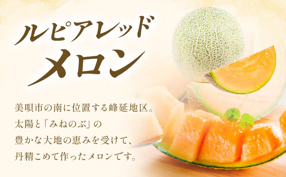 【2026年発送】【先行予約】【数量限定】美唄市産ルピアレッドメロン２玉（赤肉）