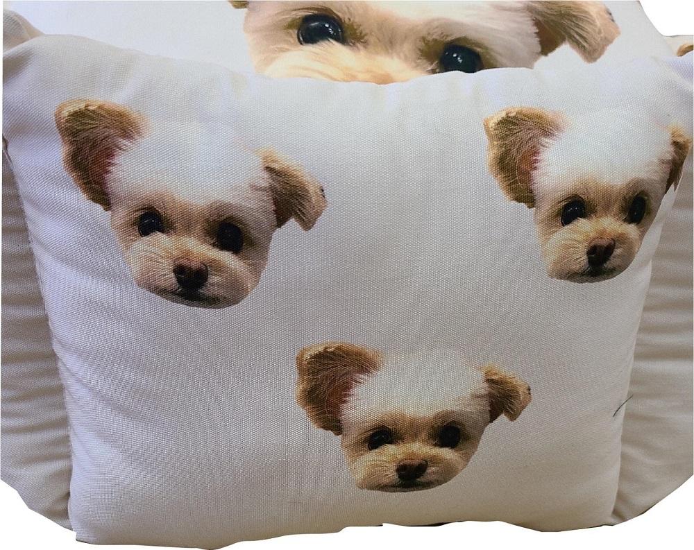 SANCHAGO うちの子ペットベッド　【ヘキサゴンミディアム】