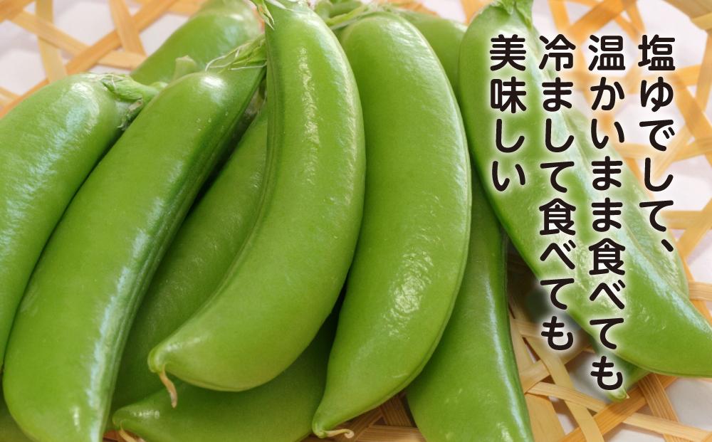 【先行予約】【バランス農法】農薬や肥料を使わずに育てた肉厚ジューシーなスナップエンドウ豊姫　1kg（2024年6月中旬より発送予定）