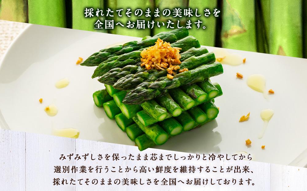 【夏アスパラ】美唄産グリーンアスパラガス雪蔵美人 Lサイズ 1kg （2025年7月中旬より順次発送予定）