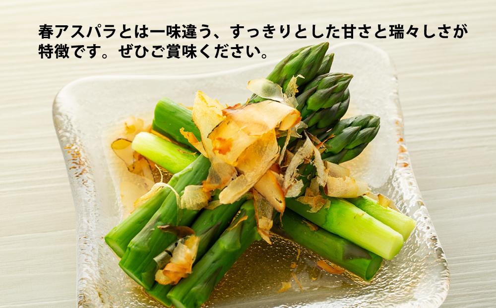 【先行予約】【夏アスパラ】美唄産グリーンアスパラガス雪蔵美人 Mサイズ 1.5kg （2023年7月中旬発送予定）