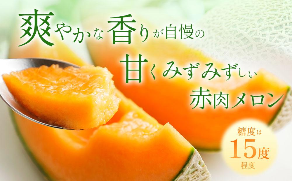 【2026年発送】【先行予約】【数量限定】美唄市産ルピアレッドメロン３玉（赤肉）