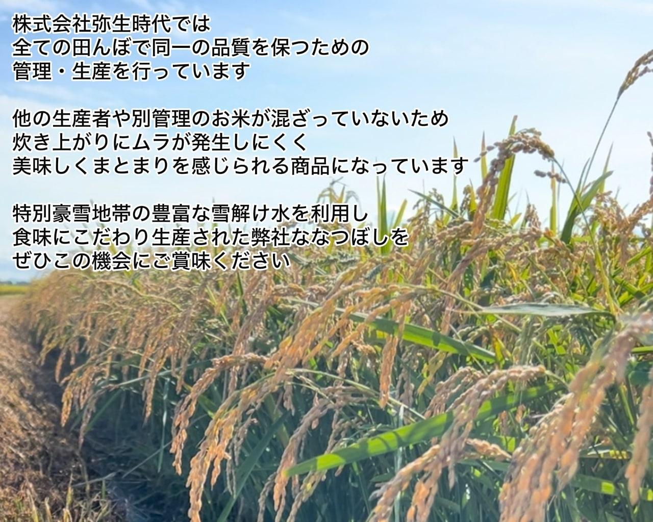 ”14年連続特A品種”北海道美唄産ななつぼし3kg
