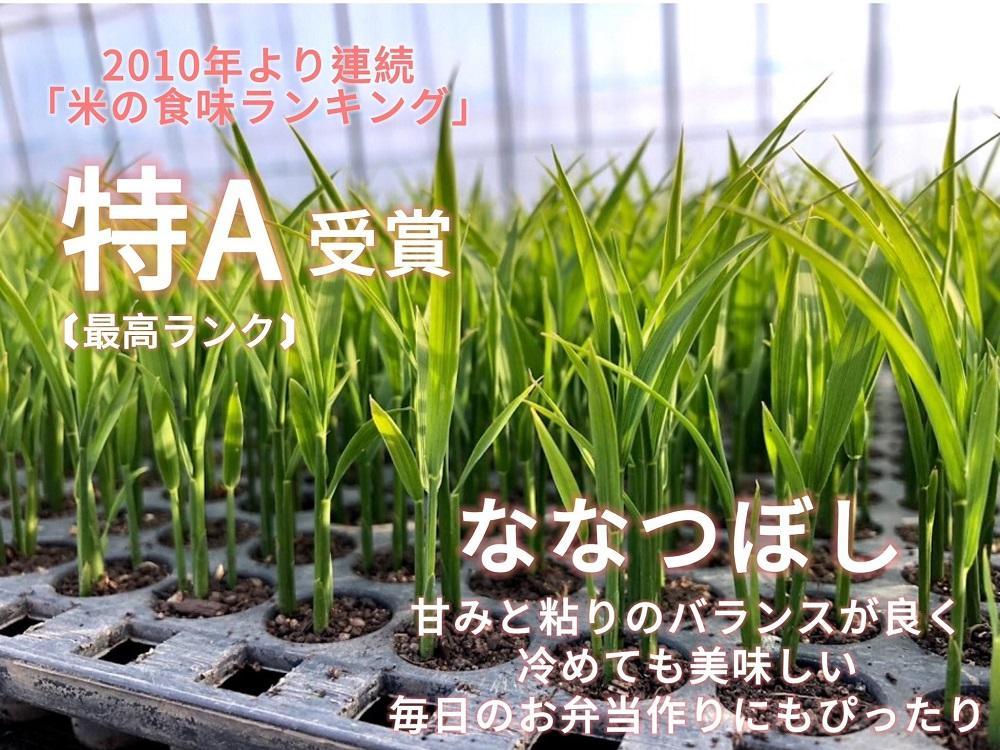”特A品種”北海道美唄産ななつぼし３kg×越冬熟成黒にんにく100g
