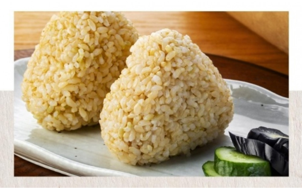 【令和7年産】玄米（10kg）伊藤農園の特別栽培米ゆめぴりか 【定期便5ヶ月】