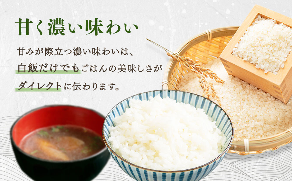 ゆめぴりか 5kg 米 お米 白米