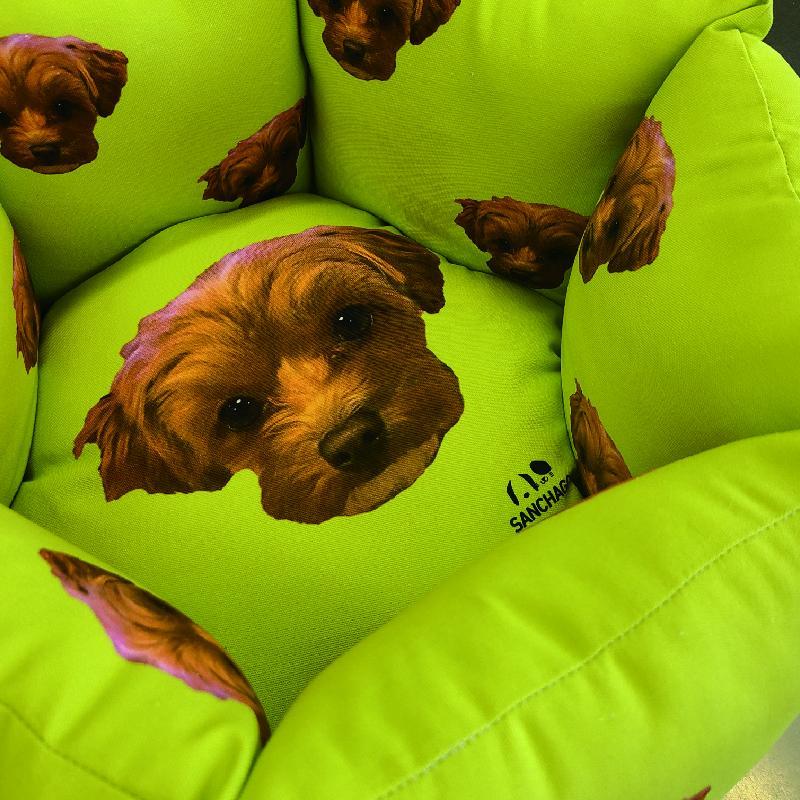 SANCHAGO うちの子ペットベッド　【ヘキサゴンスモール】