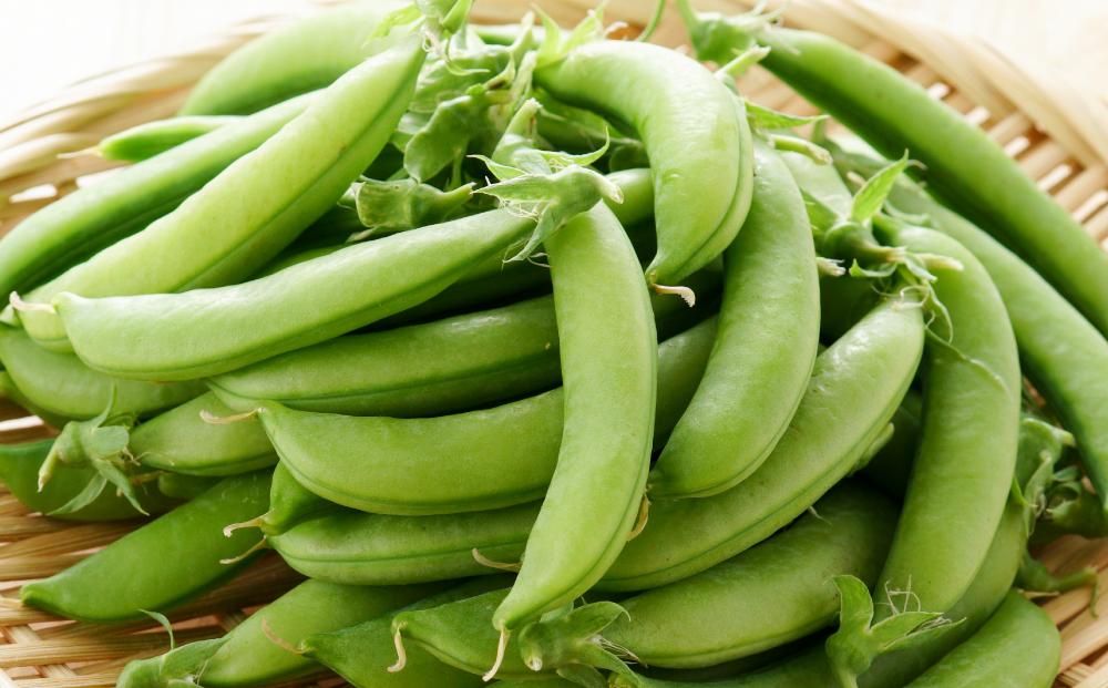 【先行予約】【バランス農法】農薬や肥料を使わずに育てた肉厚ジューシーなスナップエンドウ豊姫　1kg（2024年6月中旬より発送予定）