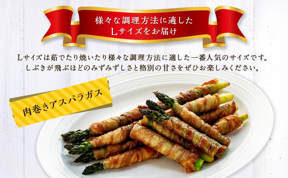 【春アスパラ】美唄産グリーンアスパラガス雪蔵美人 Lサイズ 1kg （2025年4月中旬より順次発送予定）