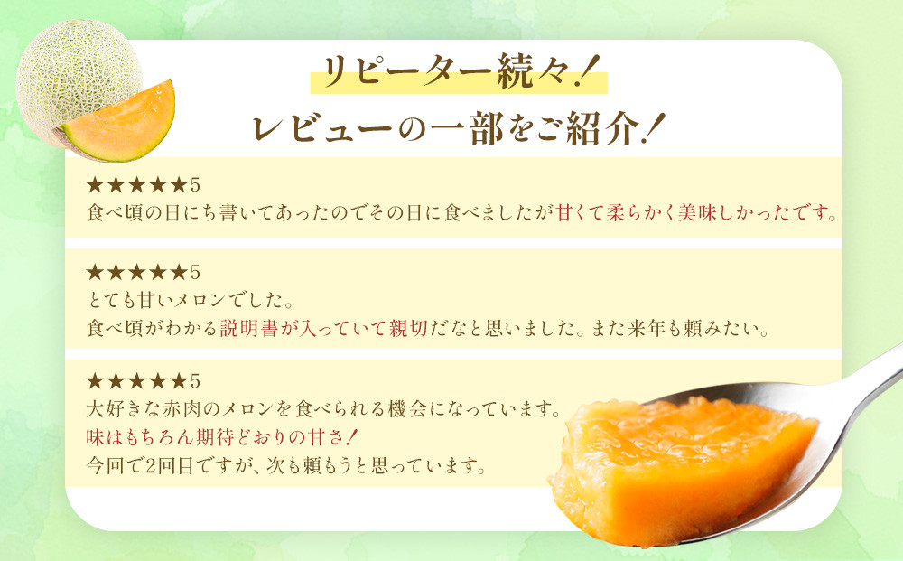 【2026年発送】【先行予約】【数量限定】美唄市産ルピアレッドメロン２玉（赤肉）