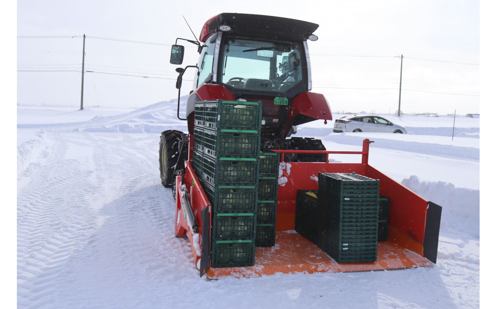 【先行予約】【数量限定】北海道産雪の下キャベツ２玉