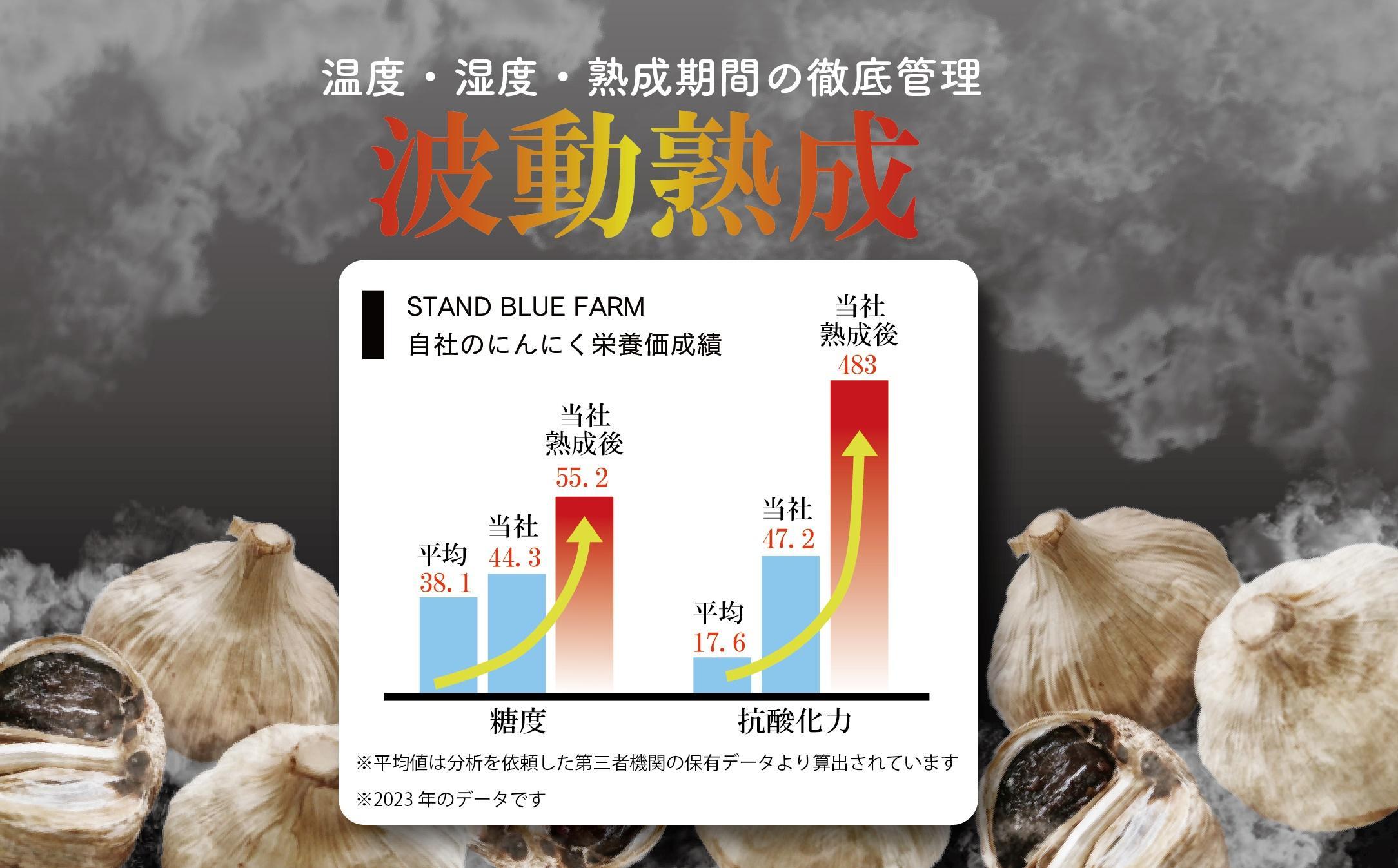黒にんにく 大地の真珠 80g×1袋