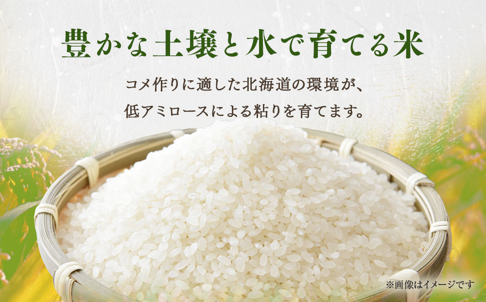 ゆめぴりか 10kg 米 お米 白米