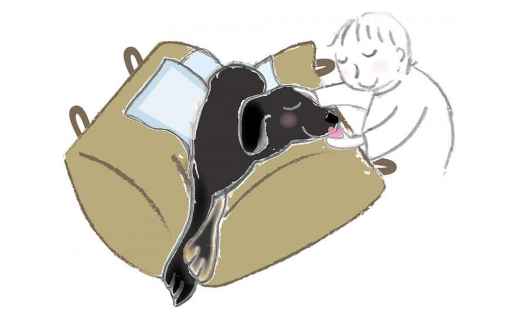 ペット（犬向け）用介護クッション「RAKU2」 インディゴブルー LLサイズ