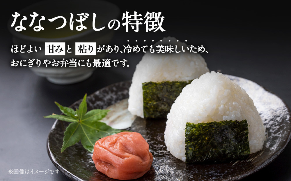 【令和７年産米】北海道産ななつぼし10kg（5kg×2)【国産 白米 精米 お米 単一原料米 厳選 マイスター 生活応援 ななつぼし おすすめ 北海道 美唄市 美唄】 ●