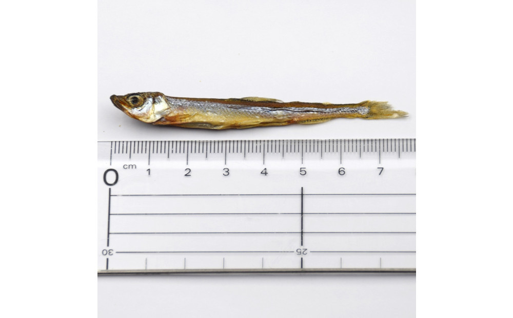 DearHounds こだわりの愛犬愛猫おやつ 北海道産ワカサギジャーキー200g×2個 合計400ｇ