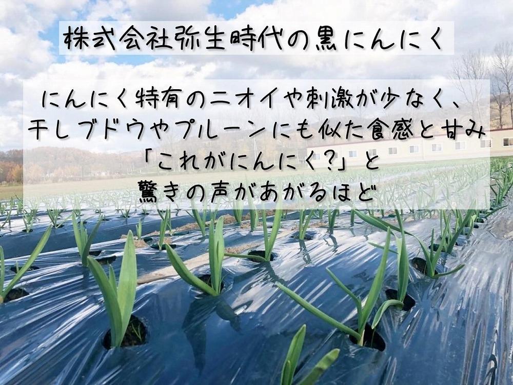 【株式会社弥生時代】ふぞろいの越冬熟成黒にんにく100g×8袋【Mサイズ片】