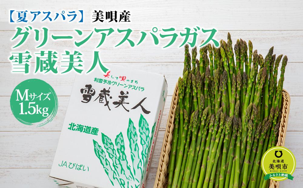 【先行予約】【夏アスパラ】美唄産グリーンアスパラガス雪蔵美人 Mサイズ 1.5kg （2023年7月中旬発送予定）