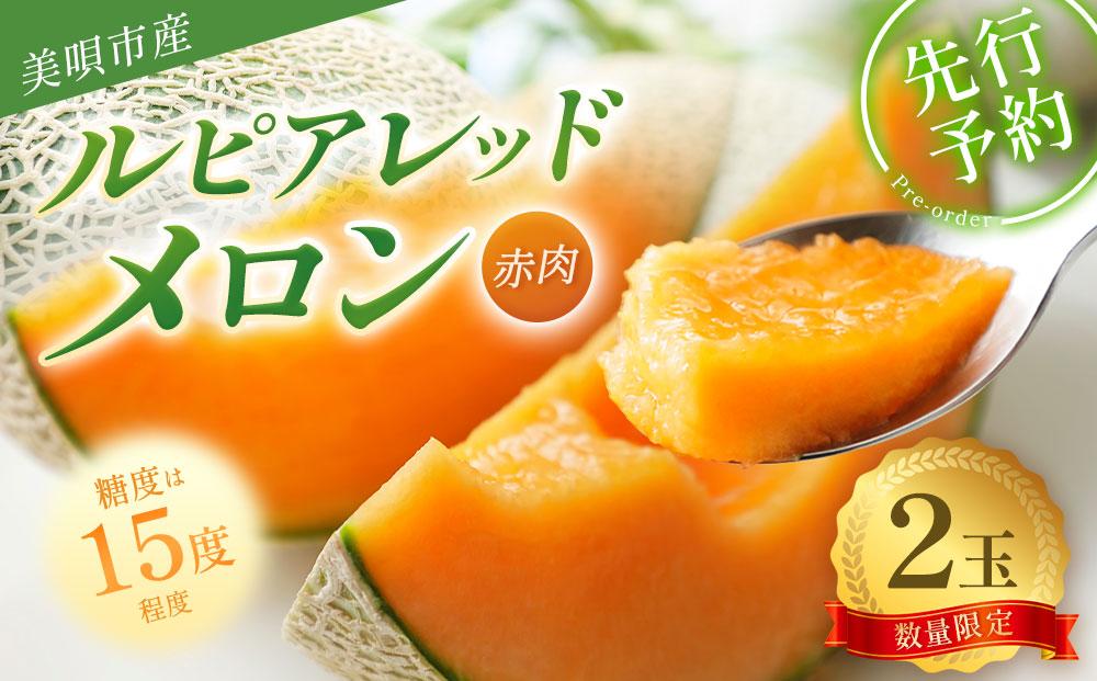 【2026年発送】【先行予約】【数量限定】美唄市産ルピアレッドメロン２玉（赤肉）