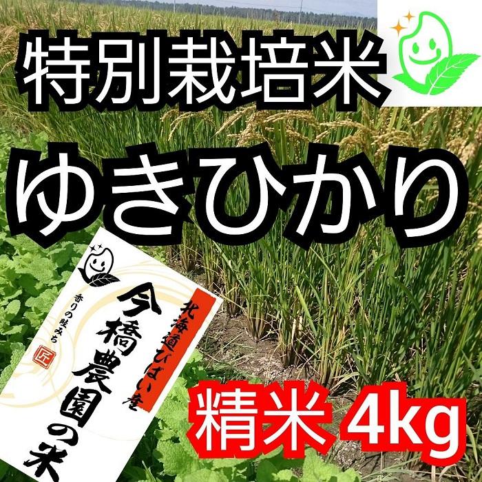 [希少品種]今橋農園の「ゆきひかり」4kg 精米 特別栽培米 令和5年産