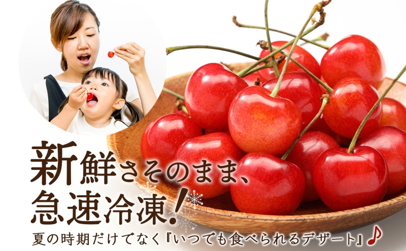 冷凍さくらんぼミックス 160g×6パック 北海道 芦別市 大橋さくらんぼ園