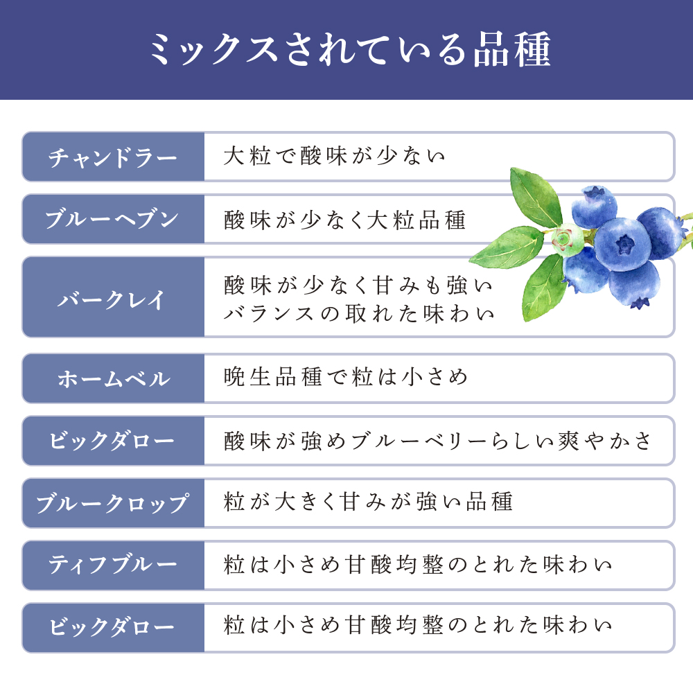 【先行受付】 ブルーベリー ミックス 1kg 北海道 芦別市 大橋さくらんぼ園