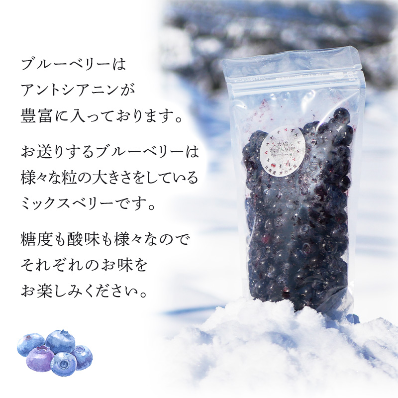 ブルーベリー ミックス 500g×2パック 計1kg 冷凍 果物 くだもの フルーツ 旬の果物 旬のフルーツ ミックスブルーベリー 大粒 小粒 小分け 保存 北海道 芦別市