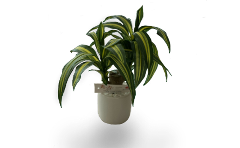 光触媒・造花 2つ セット ドラセナ グリーンボール 約25cm 観葉植物 植物 北海道 芦別市 日本インソール工業