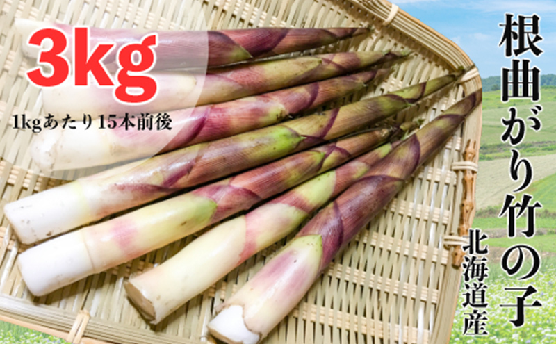 たけのこ 6月発送 根曲がり竹の子 3kg 1kgあたり15本程度 山菜直売店中野渡 北海道産 竹の子 タケノコ 野菜 山菜 新鮮 焼いて 味噌汁 春の恵み 調理 冷蔵配送 北海道 芦別市