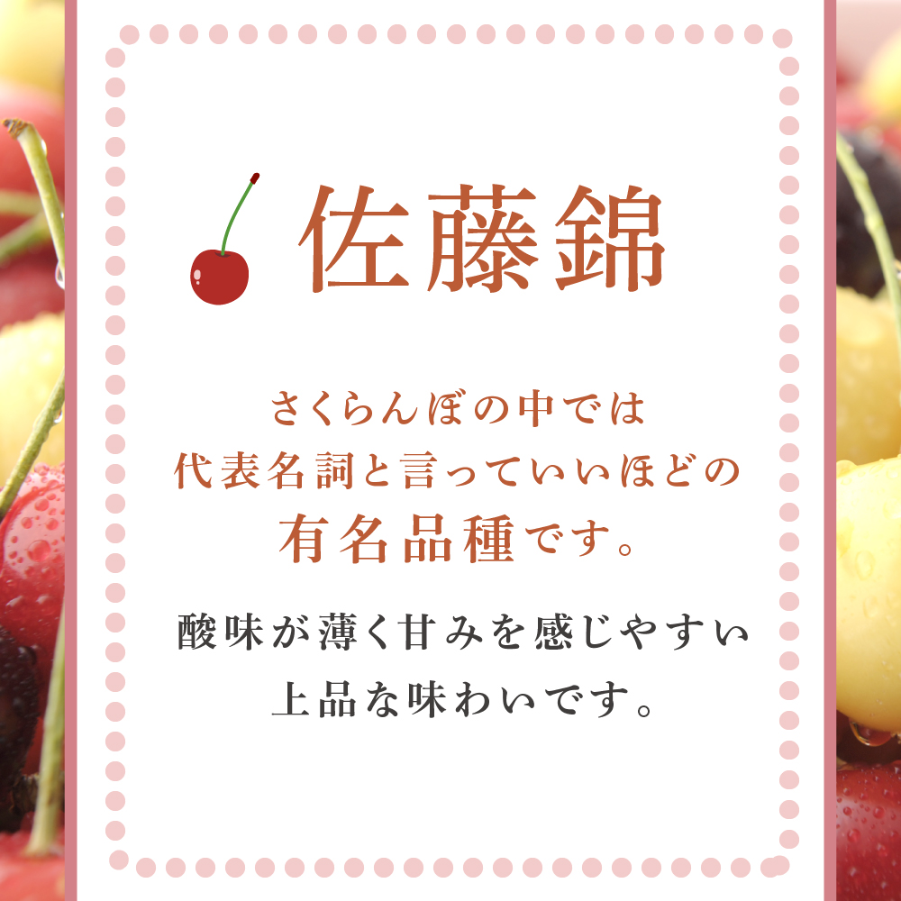 【先行受付】 さくらんぼ 佐藤錦 1kg(500g×2パック) 北海道 芦別市 大橋さくらんぼ園