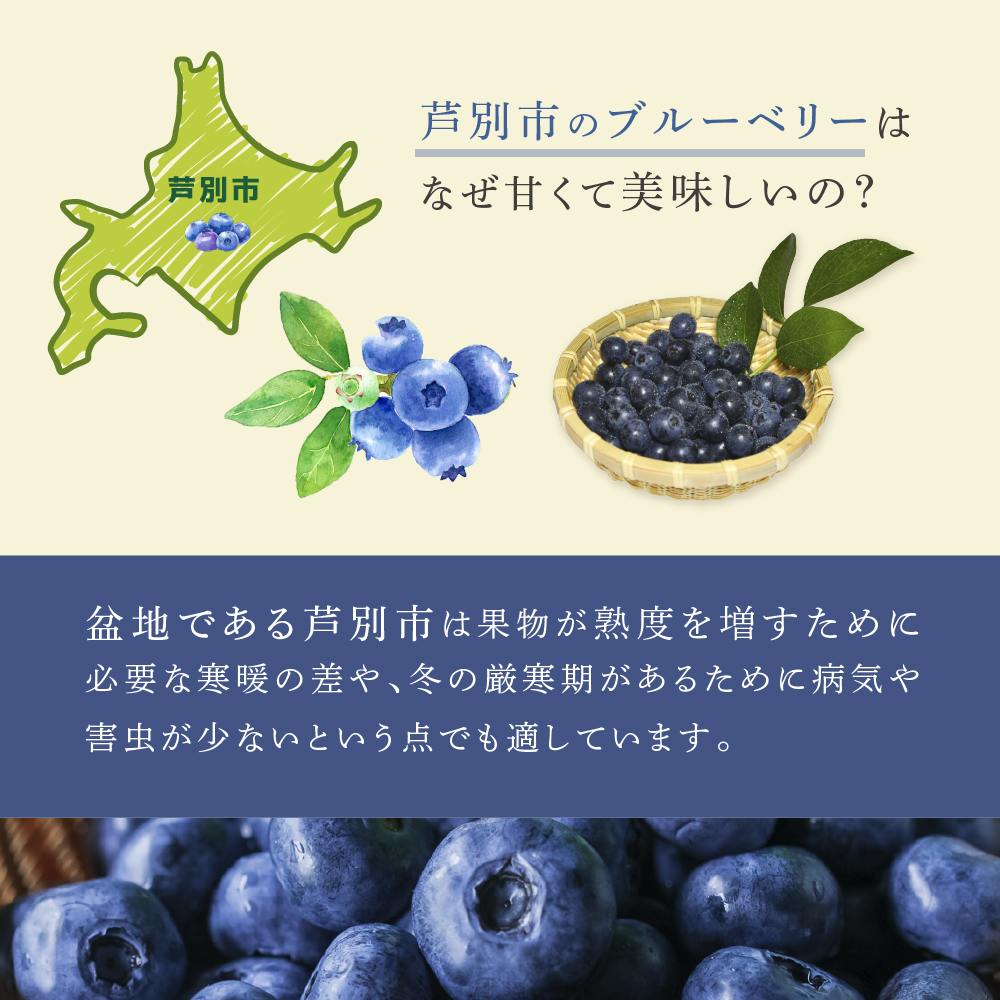 【先行受付】 ブルーベリー ミックス 1kg 北海道 芦別市 大橋さくらんぼ園
