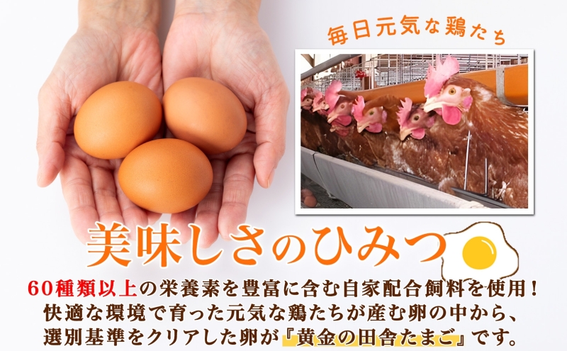 黄金の田舎たまご 20個入り 10個×2 ブランド卵 化粧箱 卵 たまご 高級卵 末永農場 北海道 芦別市 濃厚 ブランド 栄養 オムライス 卵かけごはん 生卵 生たまご 鶏卵 鶏 にわとり 黄金