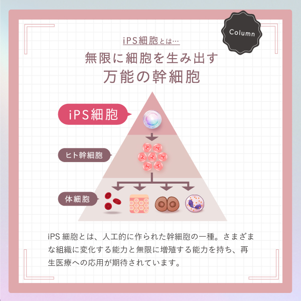 Asmy(アズミー) 《導入美容液》センシティブ ベースケアコンク 28mL 化粧品 美容液 先行美容液 スキンケア