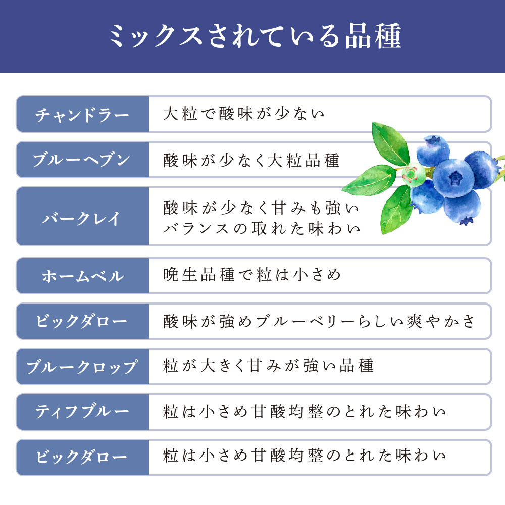 ブルーベリー ミックス 500g×2パック 計1kg 冷凍 果物 くだもの フルーツ 旬の果物 旬のフルーツ ミックスブルーベリー 大粒 小粒 小分け 保存 北海道 芦別市