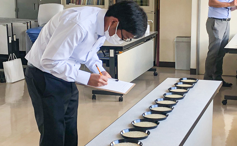 米 令和7年 北海道米 ゆめぴりか 300g×1袋 ななつぼし 300g×2袋 セット 詰め合わせ 新米 白米 精米 お米 おこめ こめ ご飯 ごはん 食べ比べセット 食べ比べ 単一原料米 ブランド米 令和7年産 ギフト 贈り物 プレゼント 北海道 芦別市