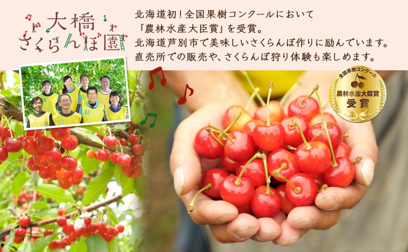 冷凍さくらんぼミックス 160g×6パック 北海道 芦別市 大橋さくらんぼ園