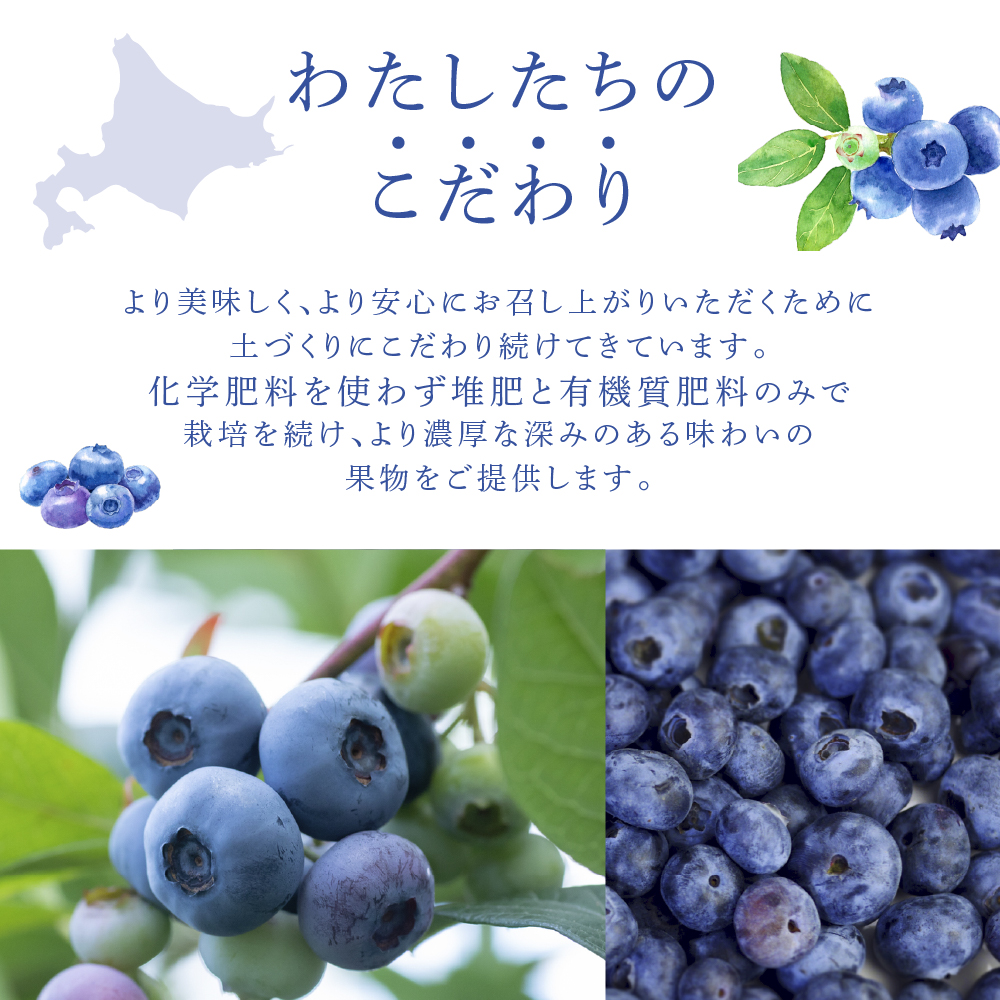 【先行受付】 ブルーベリー ミックス 1kg 北海道 芦別市 大橋さくらんぼ園