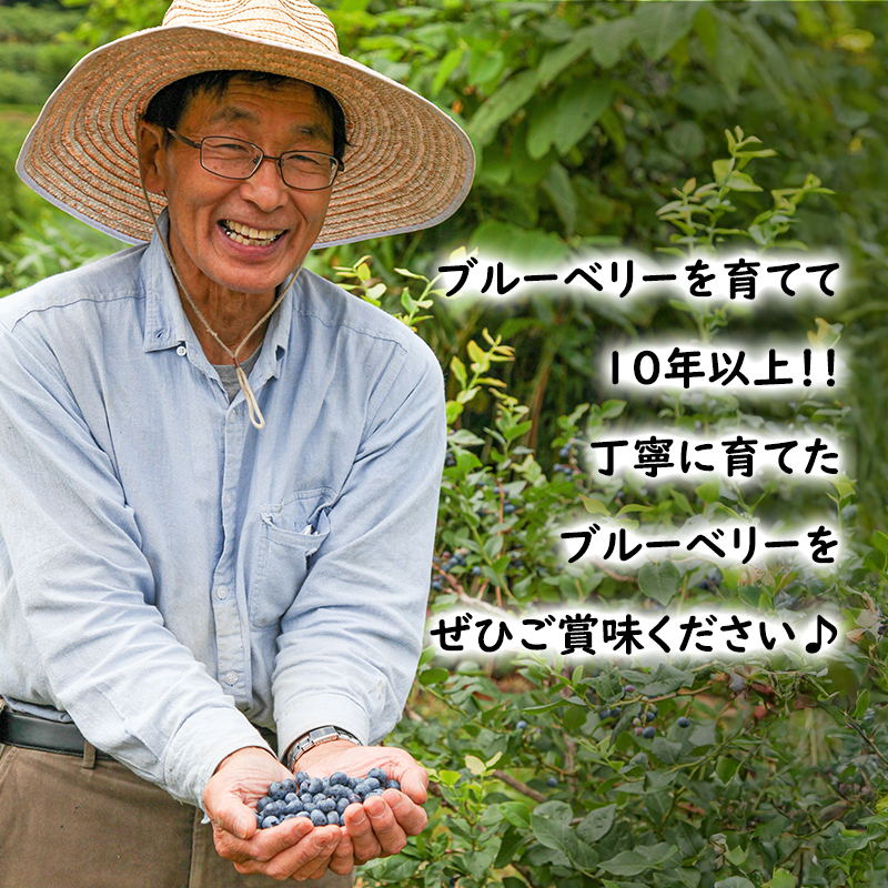 北海道 芦別市産 冷凍 ブルーベリー 計1.6kg (400g×4パック) 池田農園