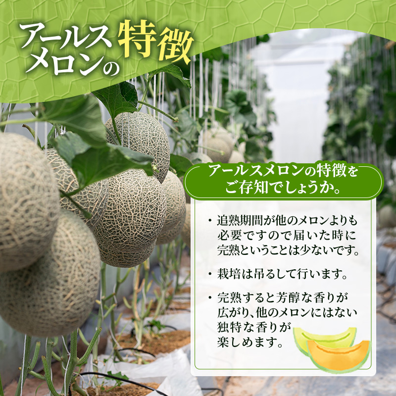 ≪赤＆青メロン 2玉セット≫ 芦別 メロン 計2.8kg以上 (赤肉・青肉セット）北海道 芦別市 メロン 果物 ギフト フルーツ 甘い