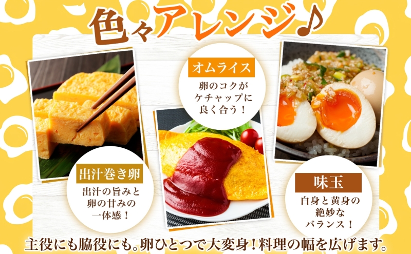 黄金の田舎たまご 20個入り 10個×2 ブランド卵 化粧箱 卵 たまご 高級卵 末永農場 北海道 芦別市 濃厚 ブランド 栄養 オムライス 卵かけごはん 生卵 生たまご 鶏卵 鶏 にわとり 黄金