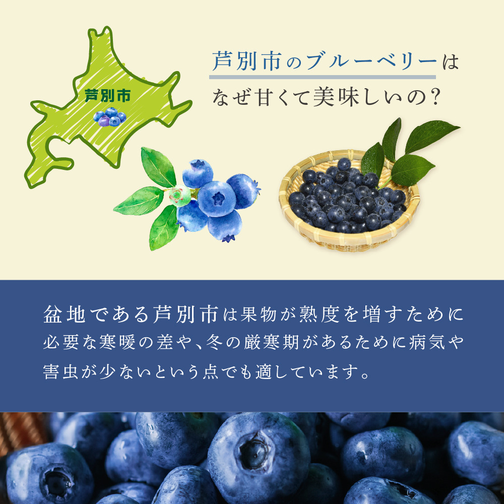 ブルーベリー ミックス 500g×2パック 計1kg 冷凍 果物 くだもの フルーツ 旬の果物 旬のフルーツ ミックスブルーベリー 大粒 小粒 小分け 保存 北海道 芦別市