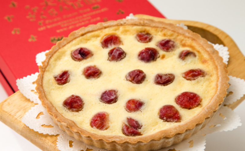 【毎月届く定期便】 大橋さくらんぼ園の詰め合わせセット (全4回) 北海道 芦別市