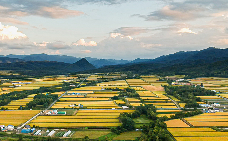 米 令和7年 ななつぼし 900g (300g×3袋) 北海道米 新米 白米 精米 お米 おこめ こめ ご飯 ごはん 単一原料米 ブランド米 令和7年産 ギフト 贈り物 プレゼント 北海道 芦別市