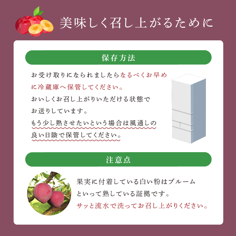 【先行受付】 プラム 恋花火 1kg 北海道 芦別市 大橋さくらんぼ園