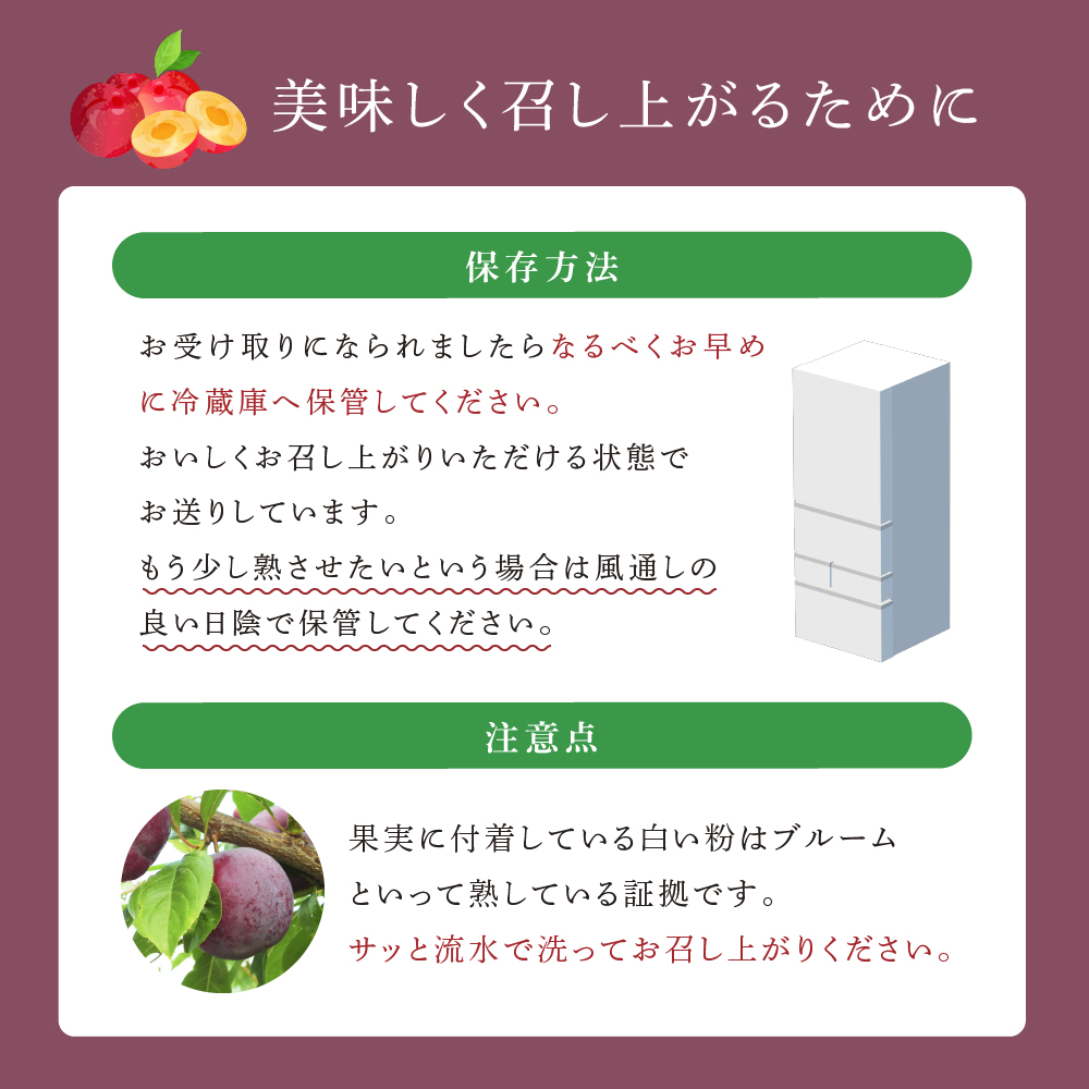 【先行受付】 プラム 紅香のしずく 1kg 北海道 芦別市 大橋さくらんぼ園